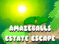Hra Amazeballs Estate Escape