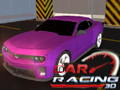 Hra Automobilové závody 3D 