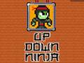 Hra Nahoru Dolů Ninja 