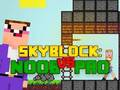 Hra Noob vs Pro Skyblock