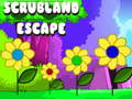 Hra Scrubland Escape