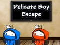 Hra Delikátní Boy Escape 