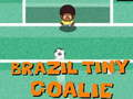 Hra Drobný brankář Brazílie 