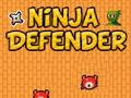 Hra Ninja obránce 