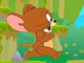Hra Jerry Forest Adventure 