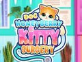 Hra Doc HoneyBerry Kitty chirurgie 