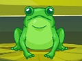 Hra Frog Match Master