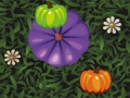 Hra Barva Pumpkin Match 