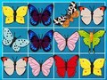 Hra Král Mahjongu 