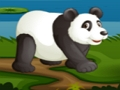 Hra Fotbalová panda 