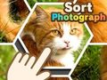 Hra Seřadit fotografii 