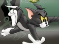 Hra Tom a Jerry Chase v Marsh 
