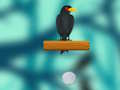 Hra Crow Smasher