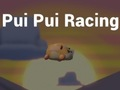 Hra Závody Pui Pui 