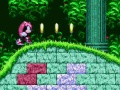 Hra Mighty & Ray v Sonic 2 