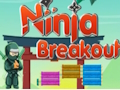 Hra Ninja Breakout