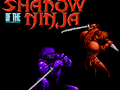 Hra Stín ninja