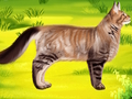 Hra Cat Pet Doctor Zubař 