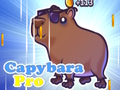 Hra Capybara pro