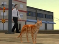 Hra Simulátor Cat City