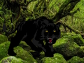 Hra Útěk z Black Panther Forest 
