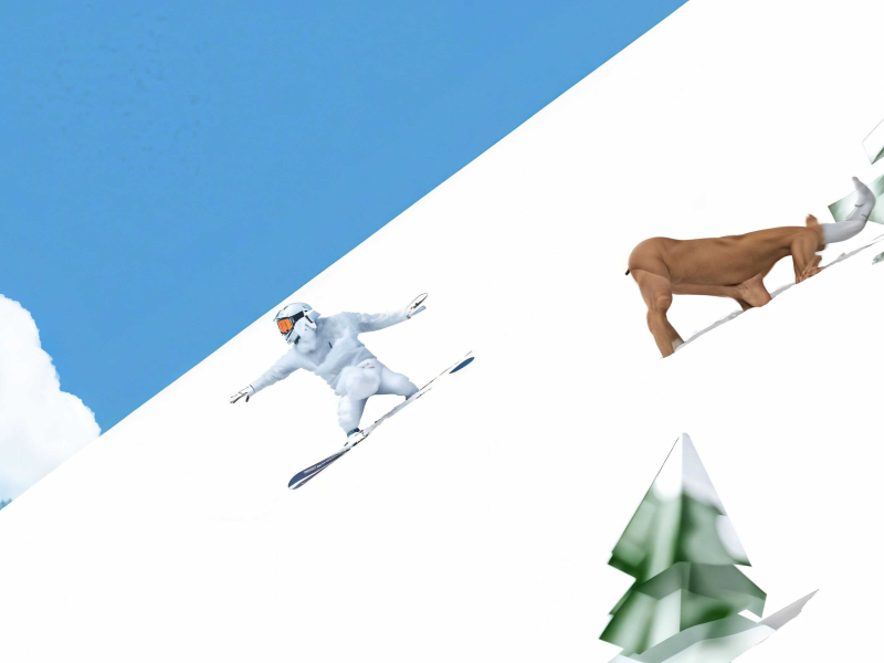 Hra Snowboardové šílenství 