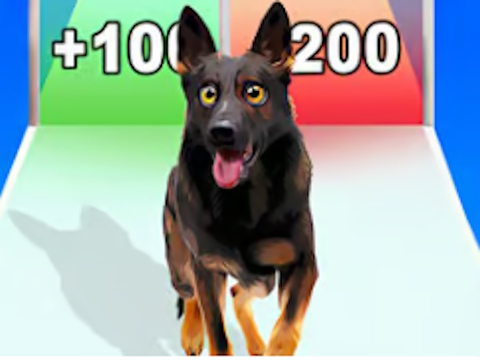 Hra Běh evoluce psů 