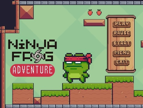 Hra Dobrodružství ninja žáby 