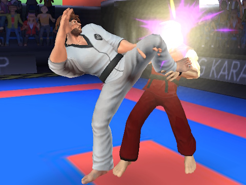 Hra Karate bojovník 