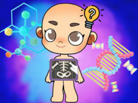 Hra Kvíz pro děti: Body Science 