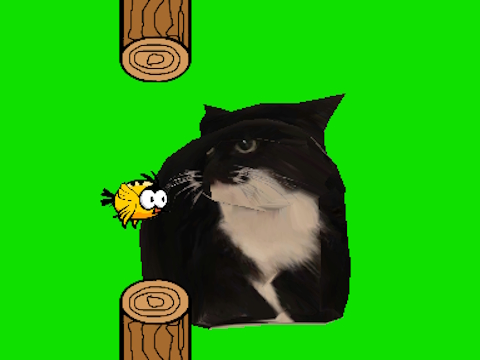 Hra Flappy Bird točící oia oia kočka 