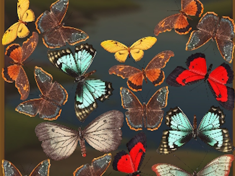 Hra MergeButerfly: 2048!