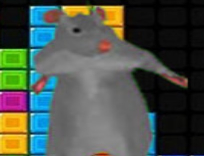 Hra Ratomilton padající bloky 