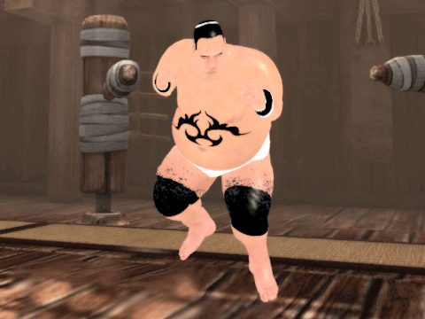 Hra Sumo Fury 