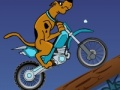 Hra Scooby Doo Trail 