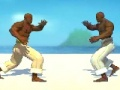 Hra Capoeira Fighter 