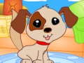 Hra Puppy Star Doghouse 