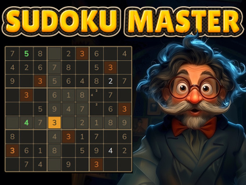 Hra Master Sudoku