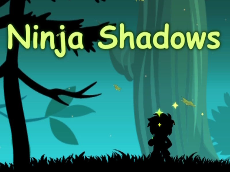 Hra Stíny ninja