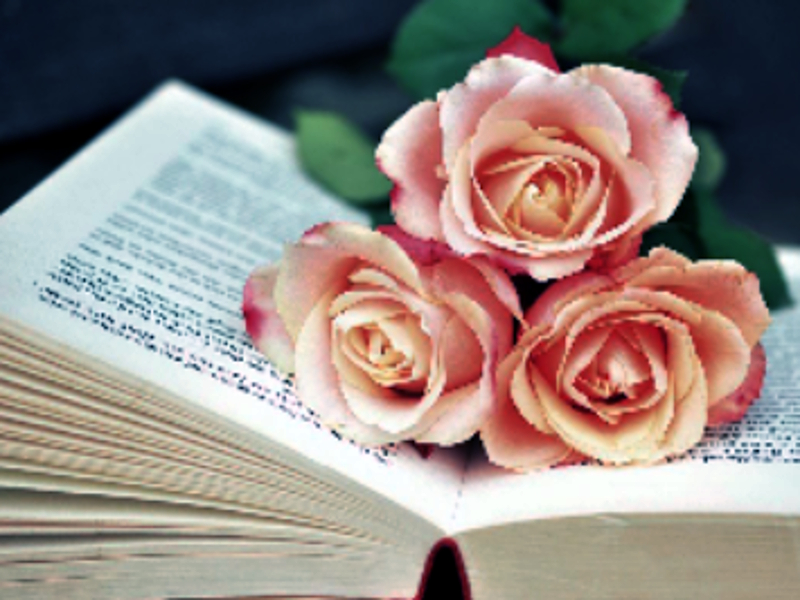 Hra Book and Flowers Puzzle